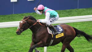 121021122252-frankel-ascot-win-retire-00002619-story-body.jpg